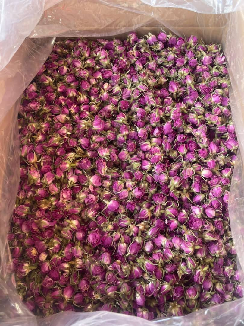 Dried pink rosebuds, the raw material for rose hydrosol