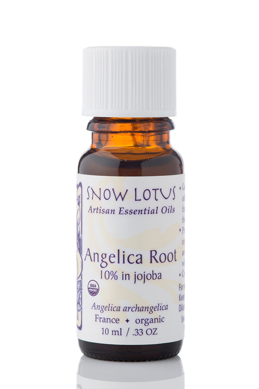 Snow Lotus Angelica Root Essential Oil 10% in Jojoba in an amber glass bottle