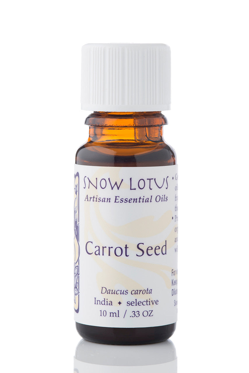 Snow Lotus Carrot Seed Essential Oil in an amber glass bottle
