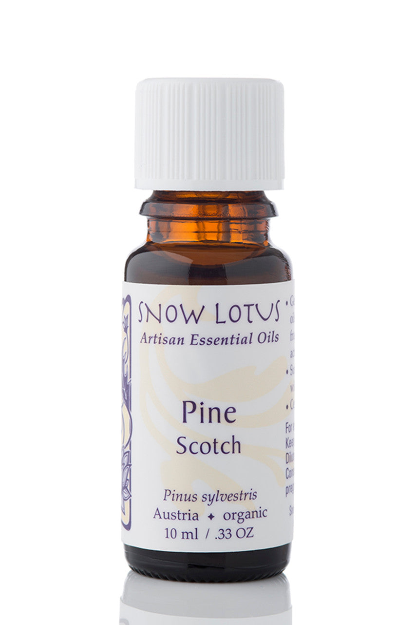 Snow Lotus organic Scotch Pine Essential Oil in an amber glass bottle
