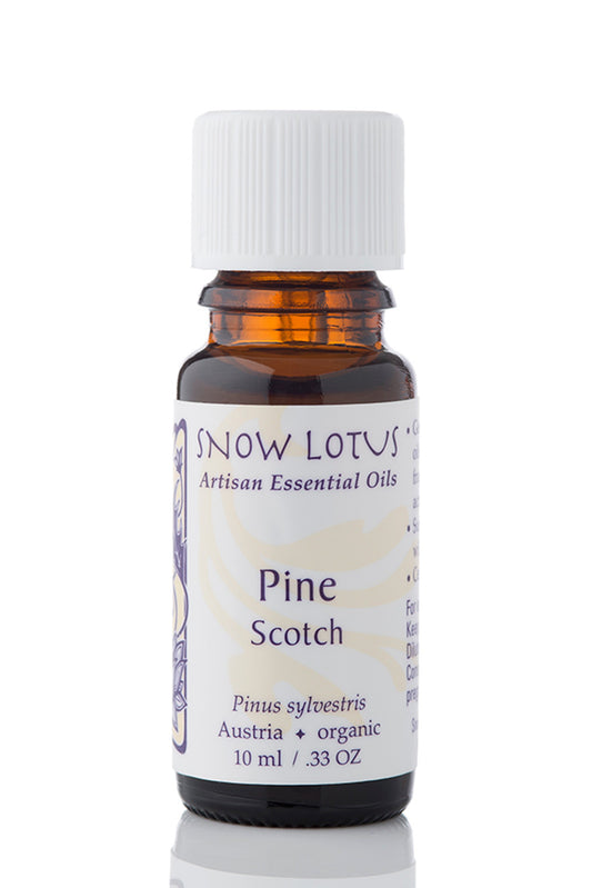 Snow Lotus organic Scotch Pine Essential Oil in an amber glass bottle