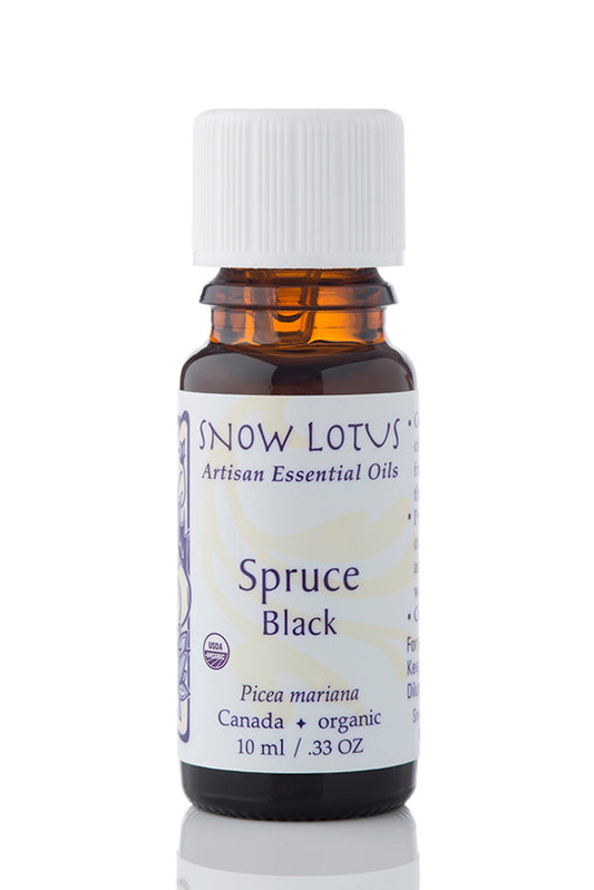 Snow Lotus organic Black Spruce Essential Oil in an amber glass bottle
