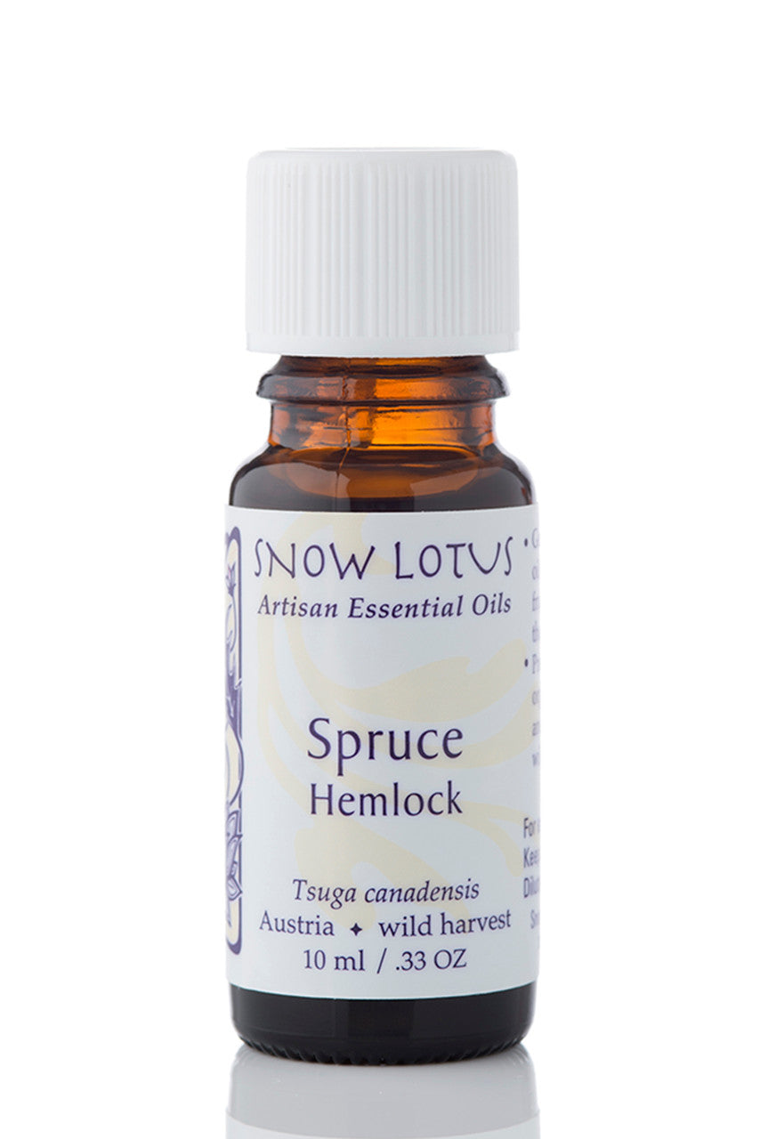 Snow Lotus Hemlock Spruce Essential Oil in an amber glass bottle