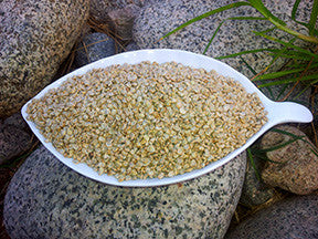 Pale cactus seeds in a white dish resting on stone